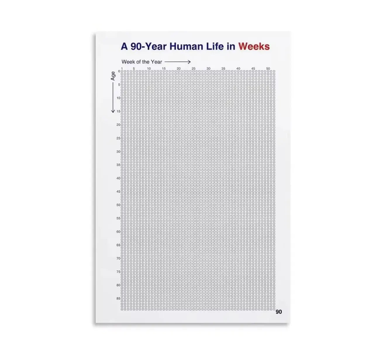 90 Year Life in Weeks Wealthy Workbooks