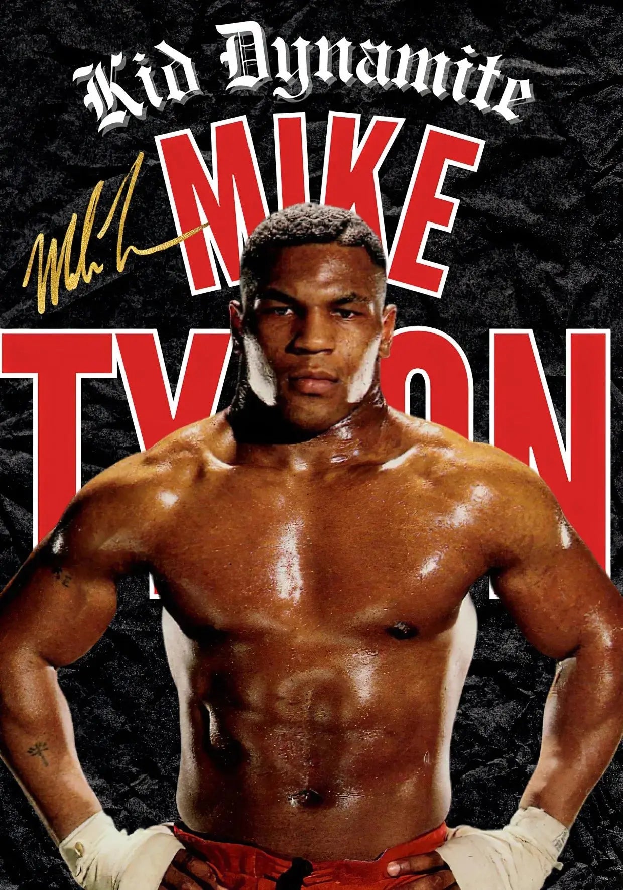 Boxing/MMA Motivational Champion Posters Wealthy Workbooks