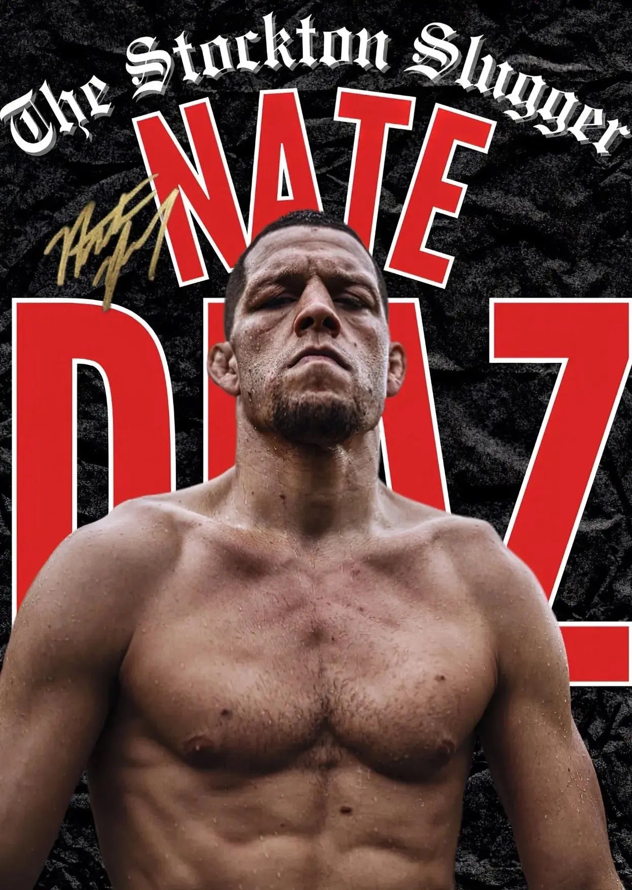 Boxing/MMA Motivational Champion Posters Wealthy Workbooks