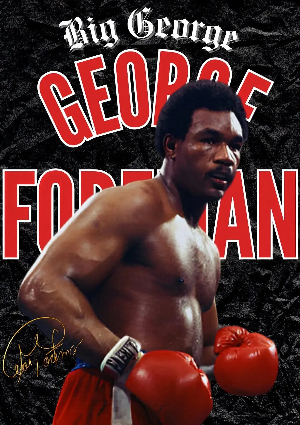 Boxing/MMA Motivational Champion Posters Wealthy Workbooks