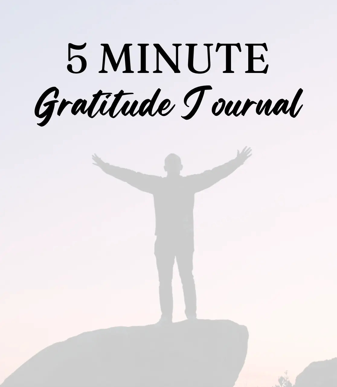5 Minute Gratitude Journal Wealthy Workbooks
