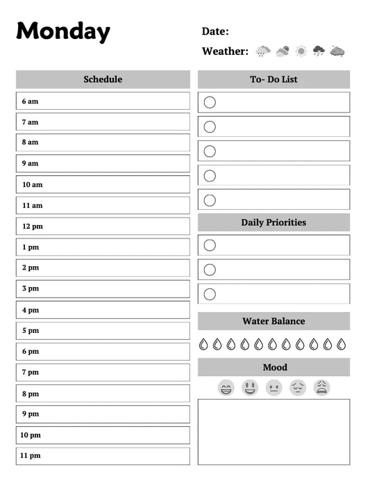HEALTHY LIVING Planner Wealthy Workbooks