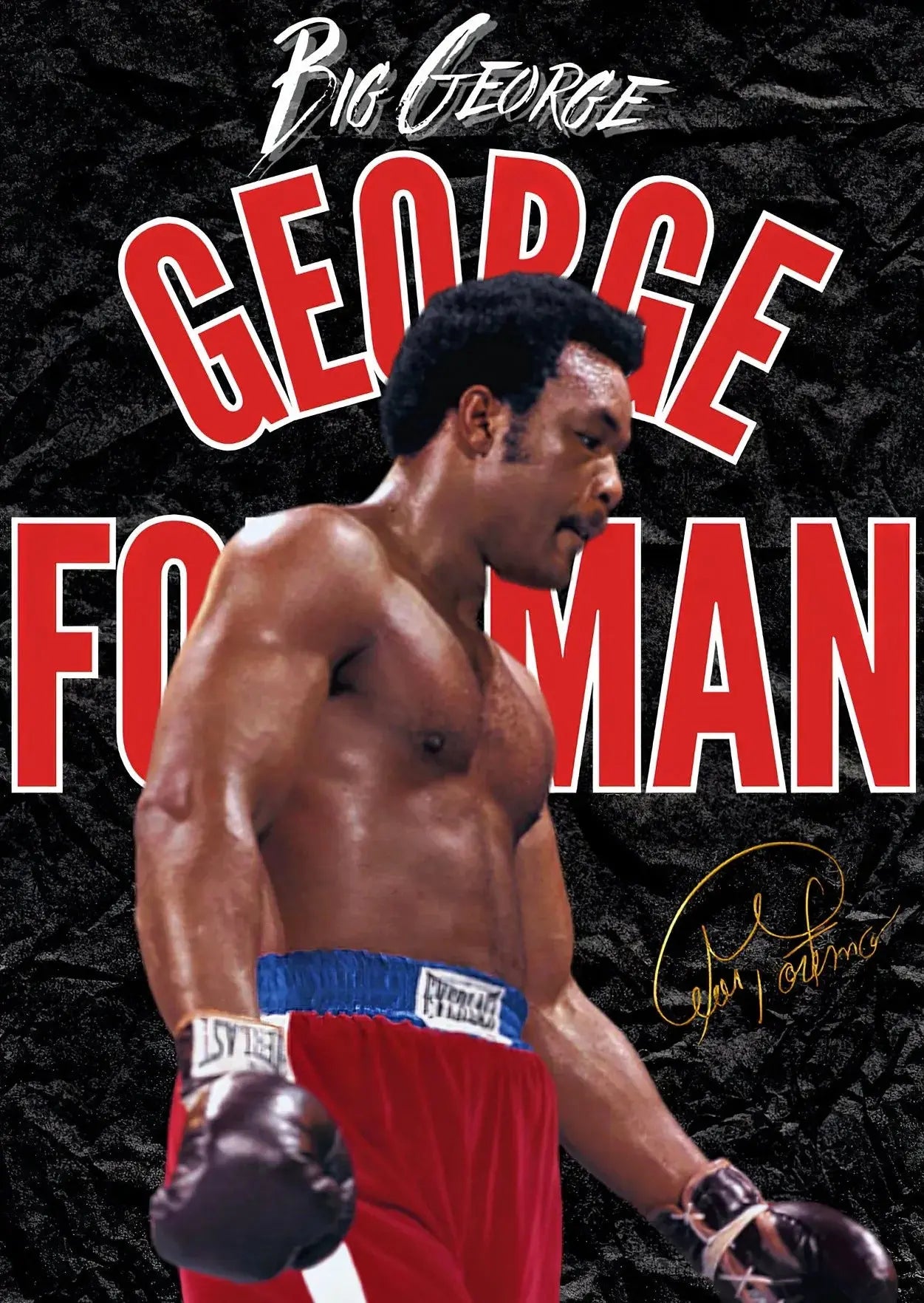Boxing/MMA Motivational Champion Posters Wealthy Workbooks