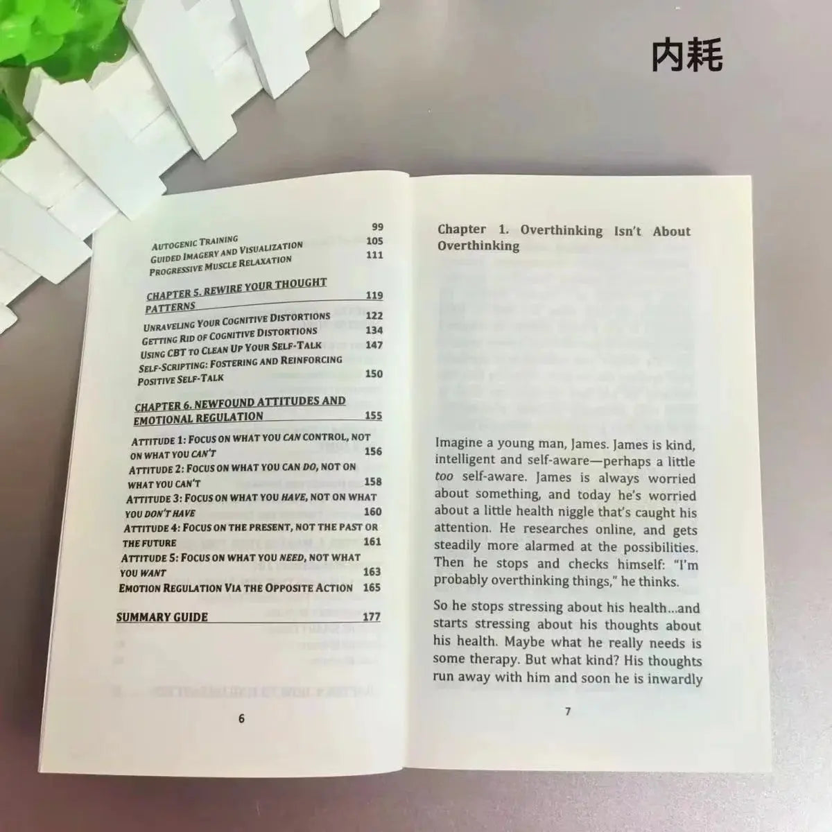 Stop Overthinking - Paperback - Nick Trenton Wealthy Workbooks